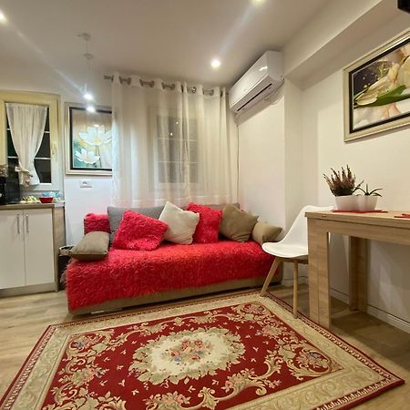 Central Welcoming Apartment In Тирана Экстерьер фото