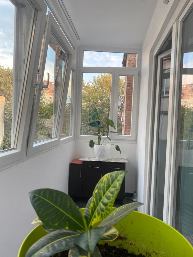 Central Welcoming Apartment In Тирана Экстерьер фото